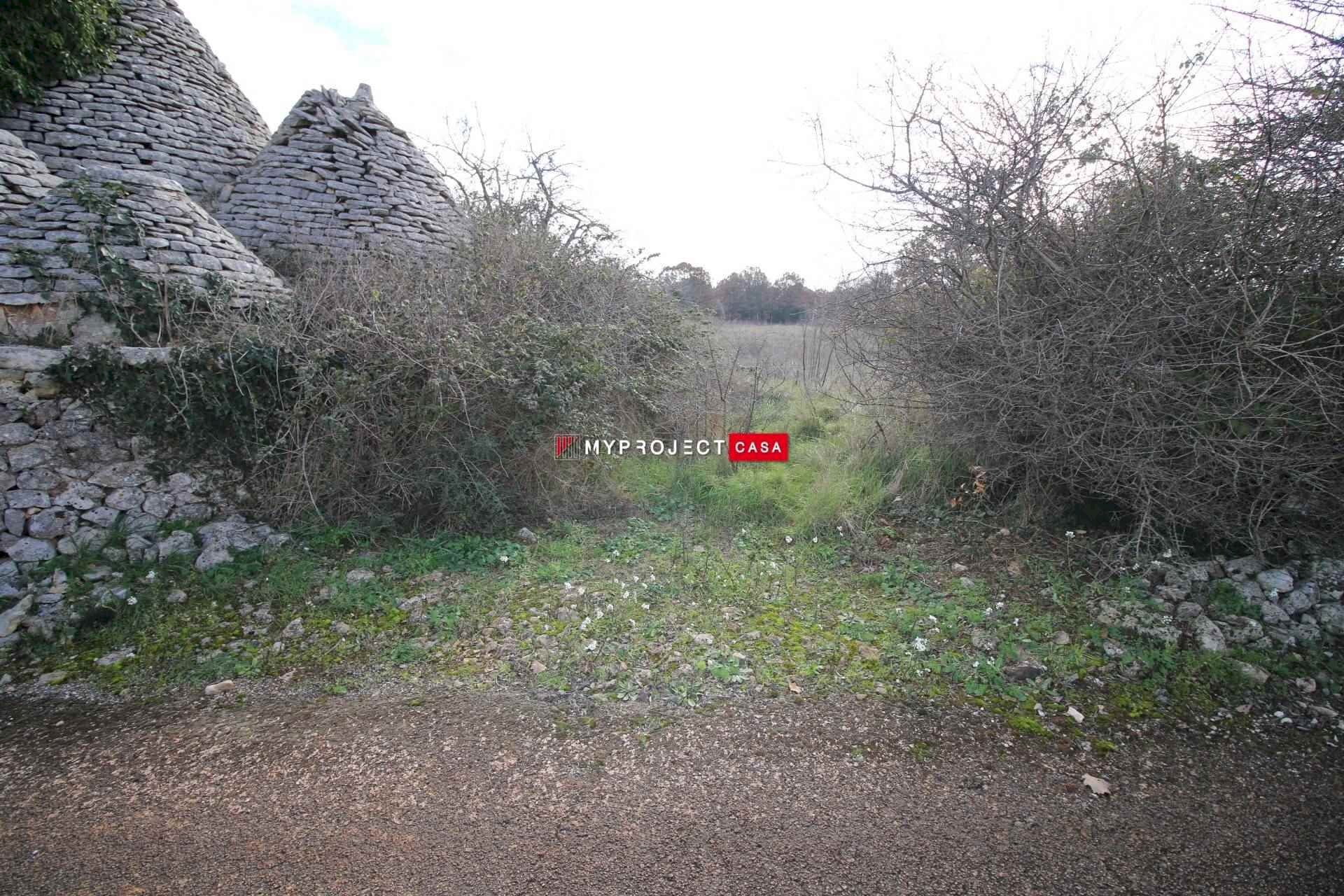 Terreno agricolo Contrada Papa Domenico, Martina Franca - foto 2