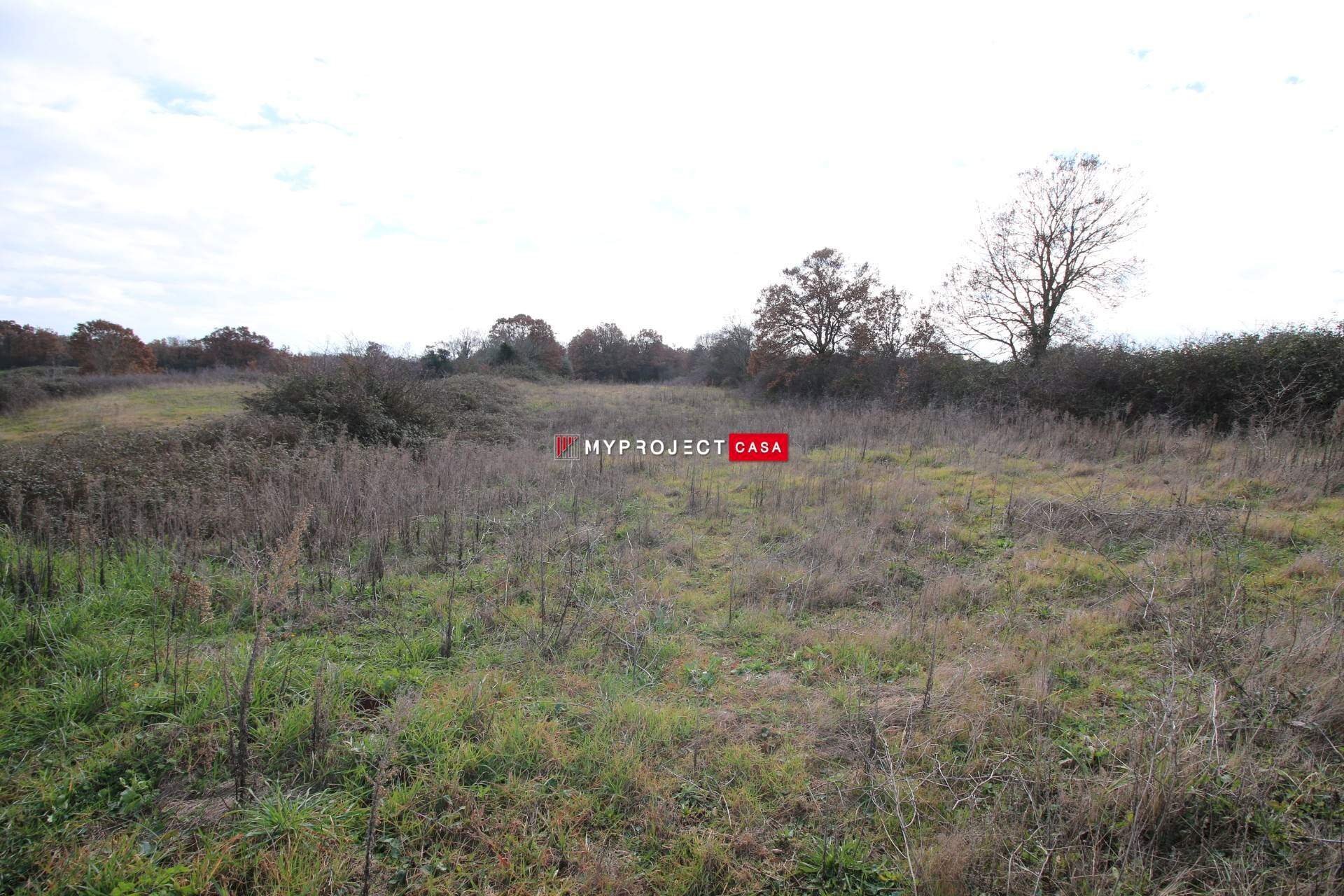 Terreno agricolo Contrada Papa Domenico, Martina Franca - foto 3