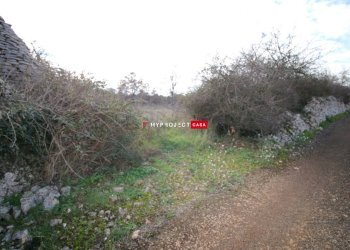 Terreno agricolo Contrada Papa Domenico, Martina Franca - foto 1