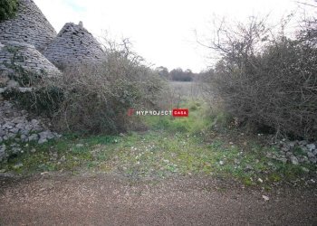 Terreno agricolo Contrada Papa Domenico, Martina Franca - foto 2