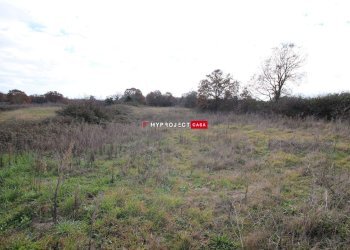 Terreno agricolo Contrada Papa Domenico, Martina Franca - foto 3