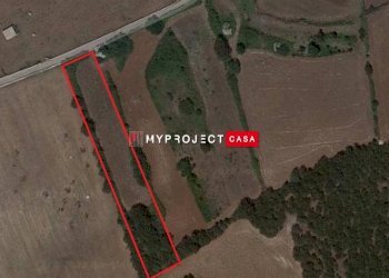 Terreno agricolo Contrada Papa Domenico, Martina Franca - foto 4