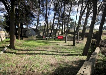 Villa Contrada Lamia Vecchia, Martina Franca - foto 17