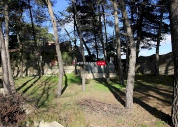 Villa Contrada Lamia Vecchia, Martina Franca - foto 18