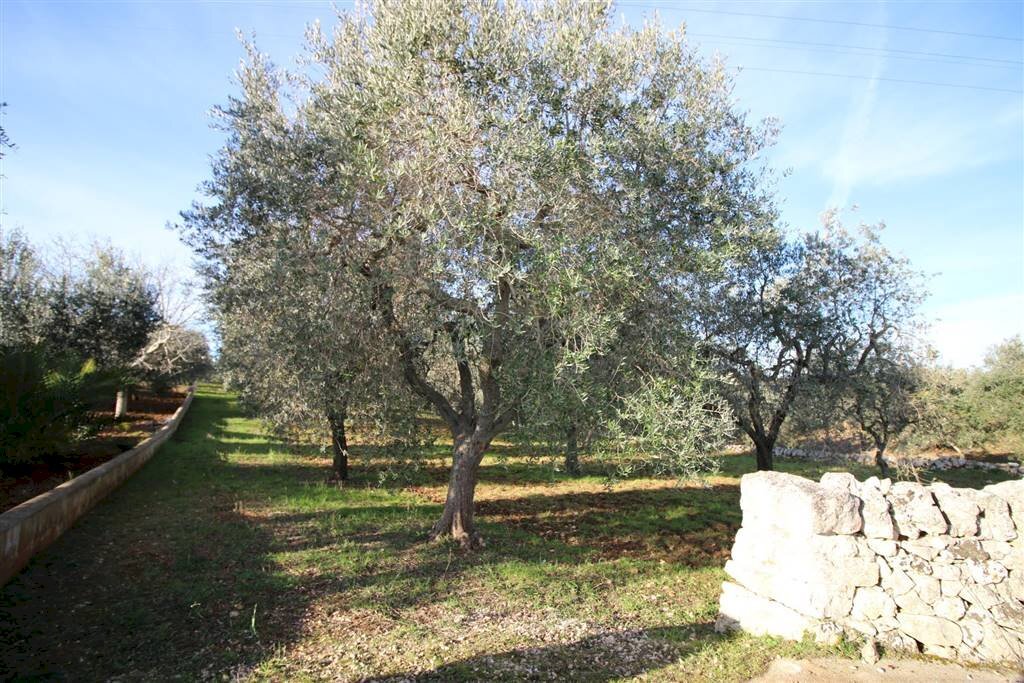 Terreno edificabile Località Ortolini, Martina Franca - foto 1