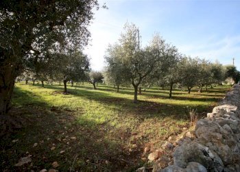 Terreno edificabile Località Ortolini, Martina Franca - foto 4