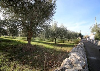 Terreno edificabile Località Ortolini, Martina Franca - foto 6