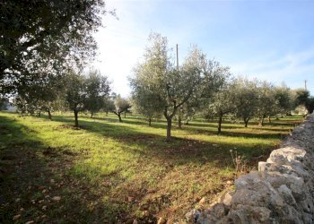 Terreno edificabile Località Ortolini, Martina Franca - foto 7