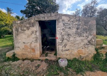 Trullo Contrada Specchiaruzzo, Ostuni - foto 13