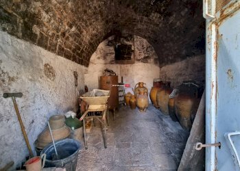 Trullo Contrada Specchiaruzzo, Ostuni - foto 29