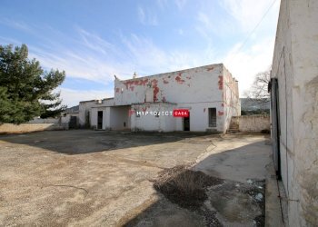 Locale Commerciale Montalbano Di Fasano, Fasano - foto 12