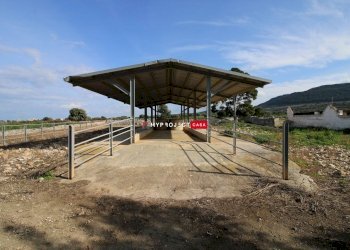 Locale Commerciale Montalbano Di Fasano, Fasano - foto 27