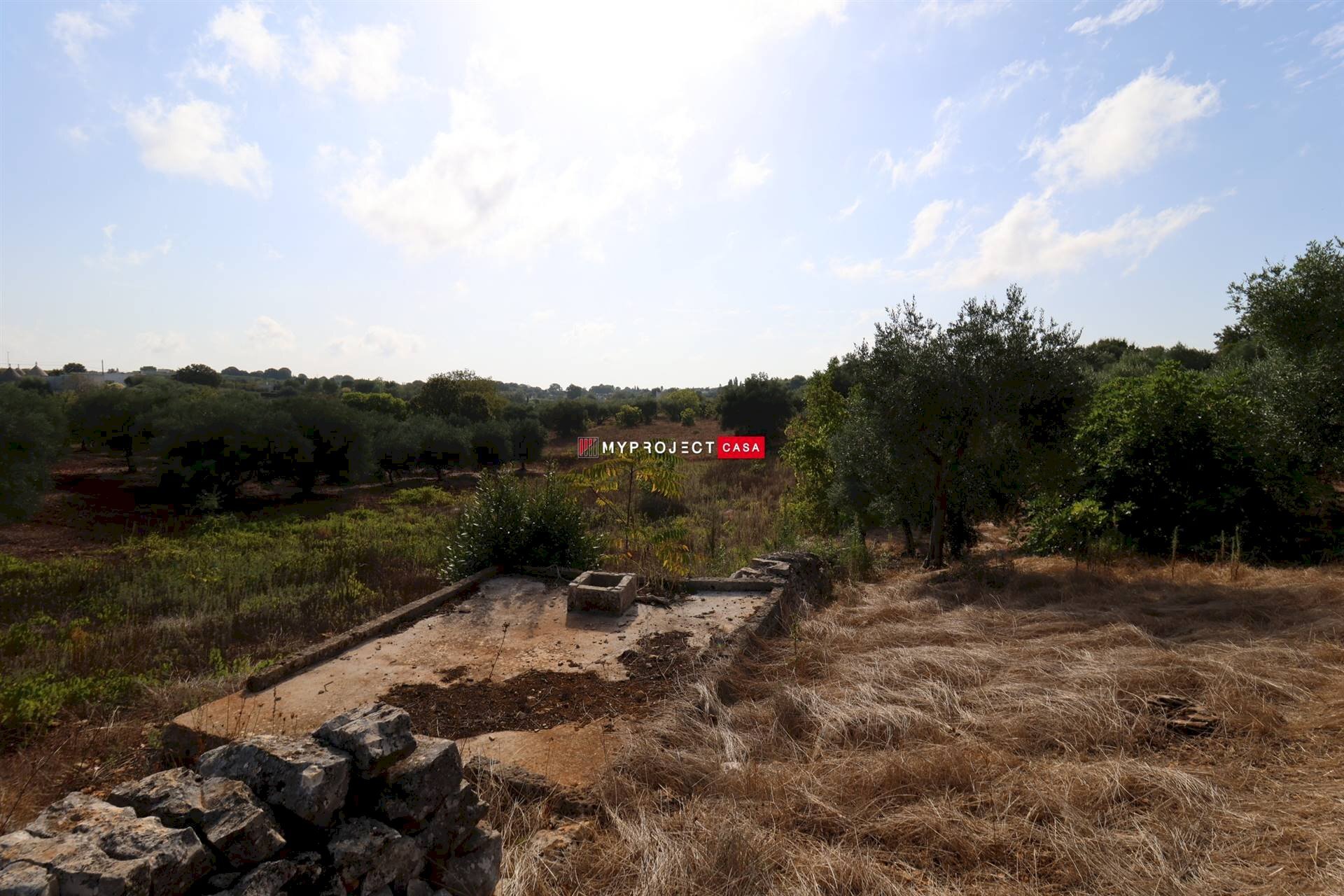 Terreno agricolo Indirizzo Non Disponibile, Cisternino - foto 2