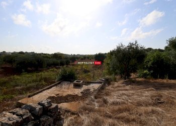 Terreno agricolo Indirizzo Non Disponibile, Cisternino - foto 2