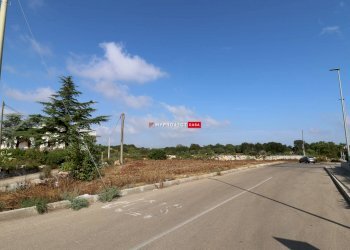 Terreno agricolo Provinciale 9 Gravina Di Castro, Cisternino - foto 3