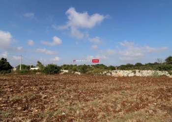 Terreno agricolo Provinciale 9 Gravina Di Castro, Cisternino - foto 5