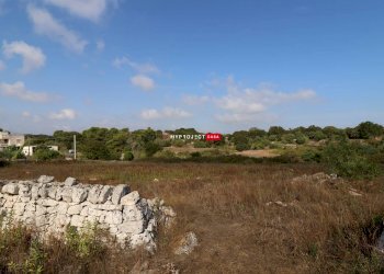 Terreno agricolo Provinciale 9 Gravina Di Castro, Cisternino - foto 6