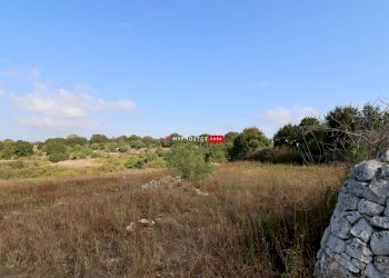 Terreno agricolo Provinciale 9 Gravina Di Castro, Cisternino - foto 7