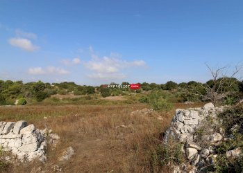 Terreno agricolo Provinciale 9 Gravina Di Castro, Cisternino - foto 8