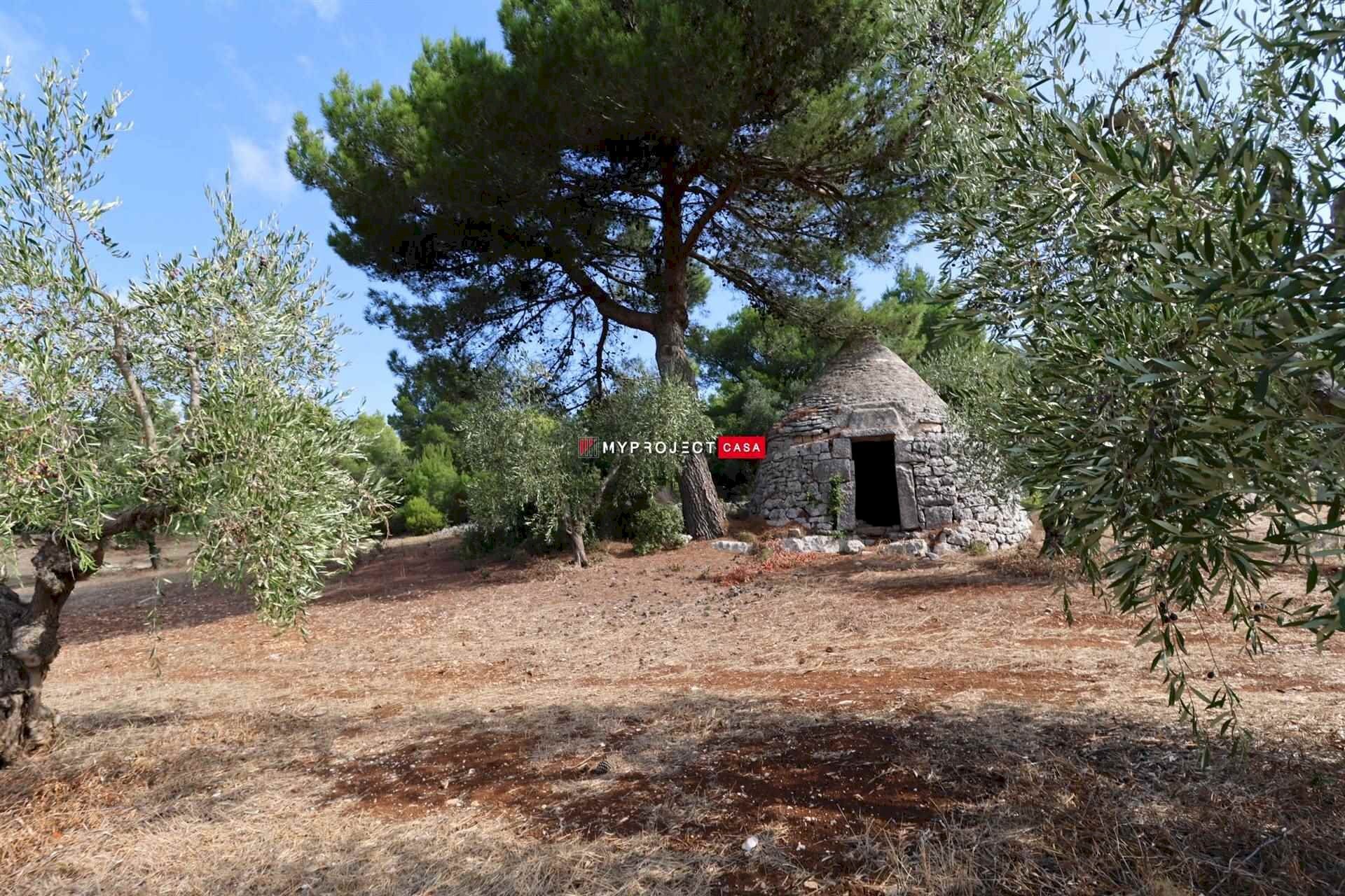 Trullo Contrada Monte, Cisternino - photo 1