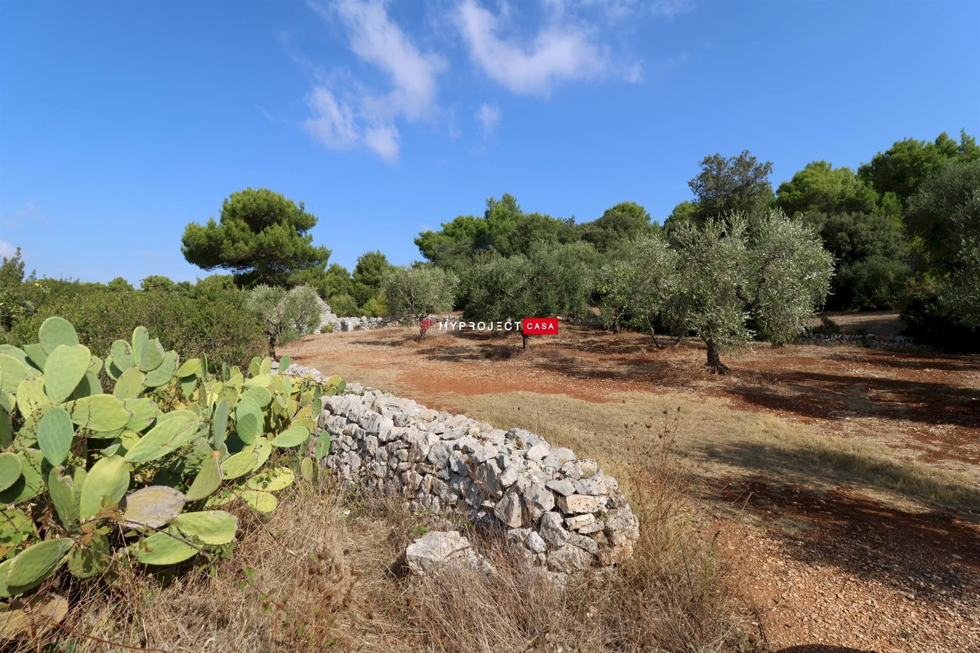 Trullo Contrada Monte, Cisternino - photo 2