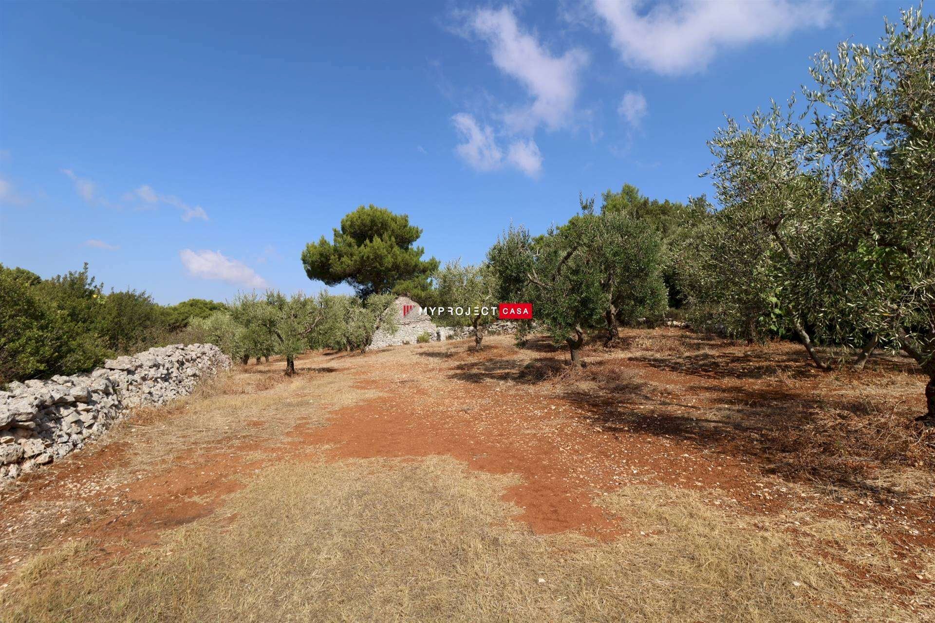Trullo Contrada Monte, Cisternino - photo 3