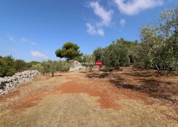 Trullo Contrada Monte, Cisternino - foto 3