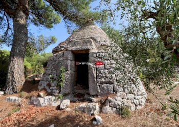 Trullo Contrada Monte, Cisternino - foto 7