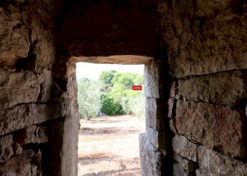 Trullo Contrada Monte, Cisternino - foto 9