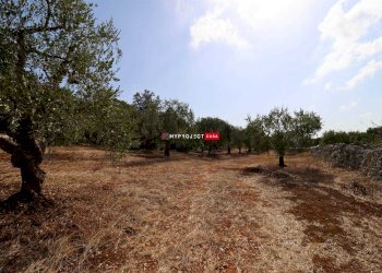 Trullo Contrada Monte, Cisternino - foto 11