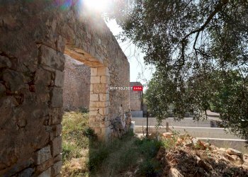 Rustico Via Liguria, Cisternino - foto 4