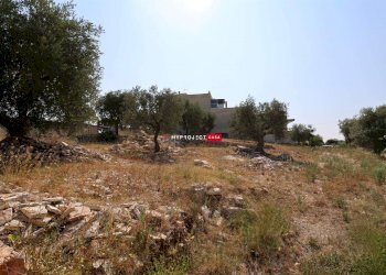 Rustico Via Liguria, Cisternino - foto 18