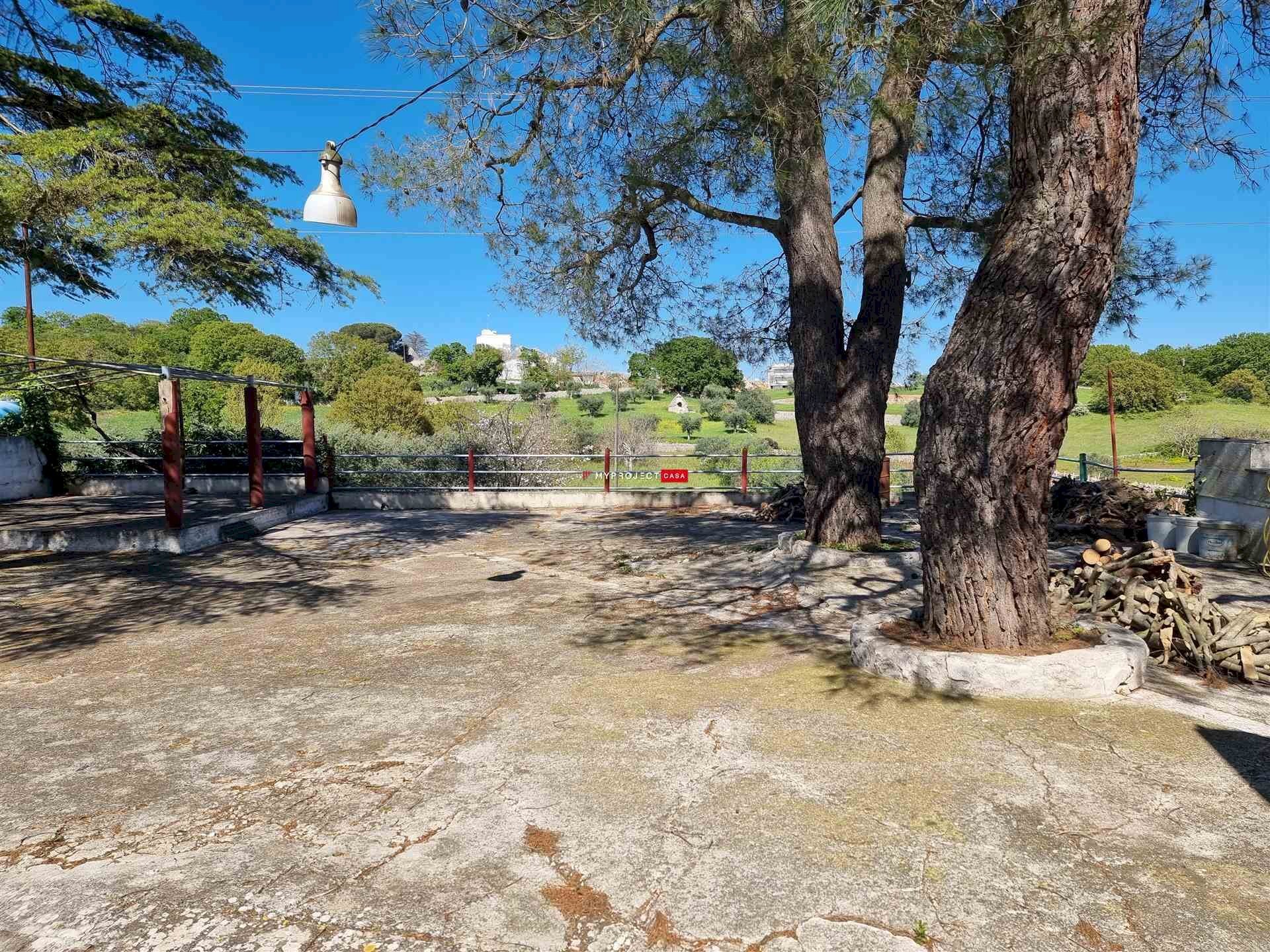 Rustico Contrada Parco Da Talliano, Locorotondo - foto 3