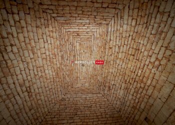 Rustico Contrada Papariello Serafino, Locorotondo - foto 15