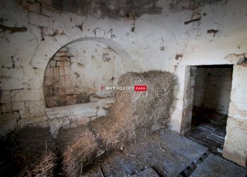 Rustico Contrada Papariello Serafino, Locorotondo - foto 24