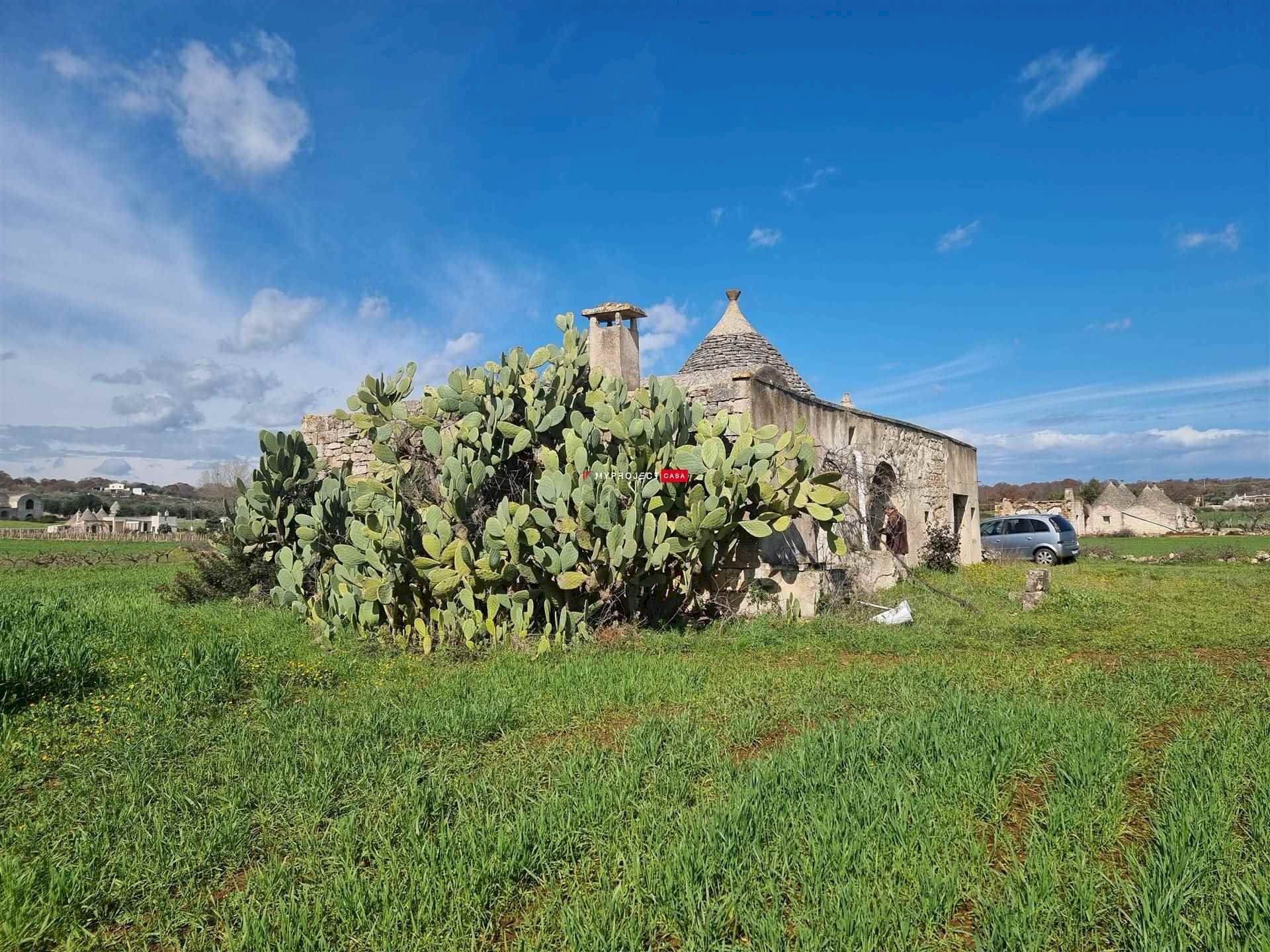 Trullo Contrada Recupero, Ceglie Messapica - foto 3