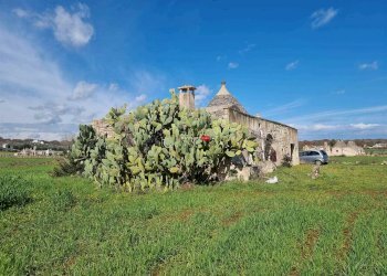 Trullo Contrada Recupero, Ceglie Messapica - foto 3
