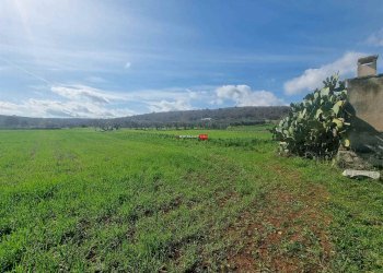 Trullo Contrada Recupero, Ceglie Messapica - foto 11