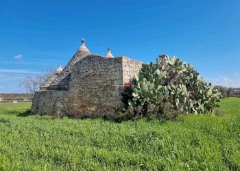 Trullo Contrada Recupero, Ceglie Messapica - foto 12
