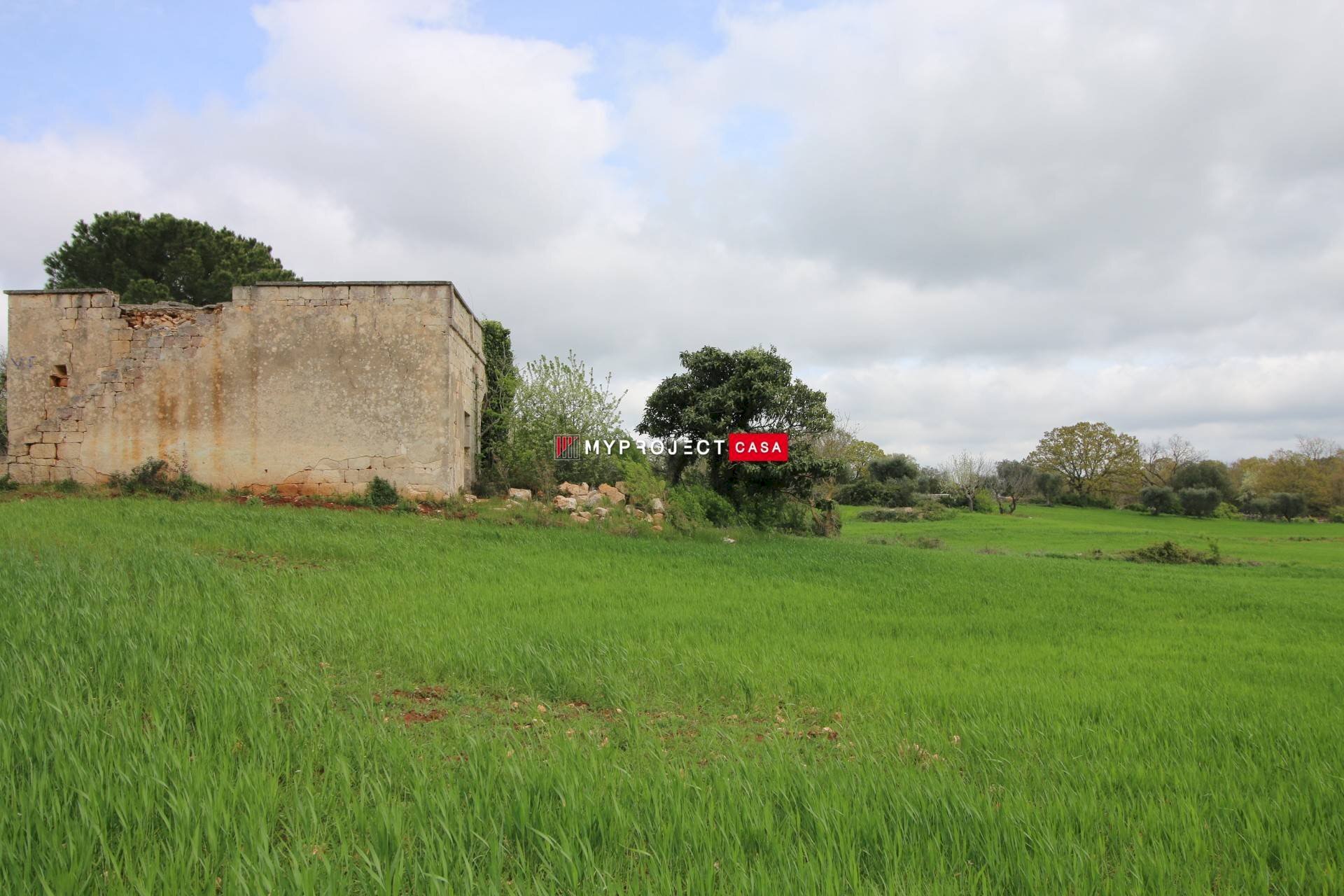 Rustic Strada Provinciale Ceglie, Ceglie Messapica - photo 2