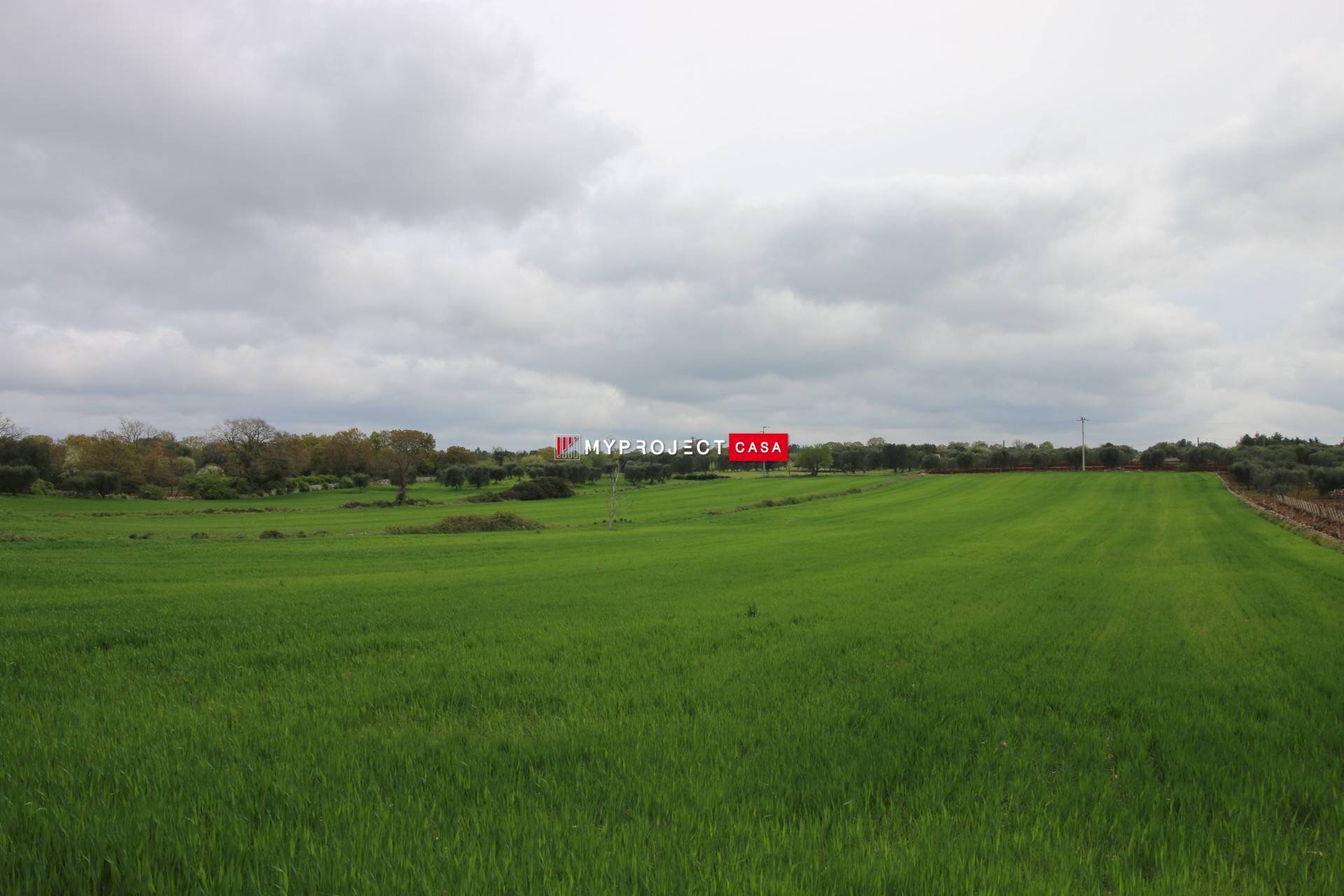 Rustic Strada Provinciale Ceglie, Ceglie Messapica - photo 3