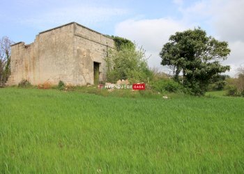 Rustico Strada Provinciale Ceglie, Ceglie Messapica - foto 1