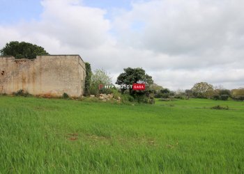 Rustico Strada Provinciale Ceglie, Ceglie Messapica - foto 2