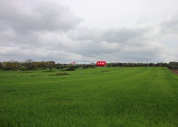 Rustico Strada Provinciale Ceglie, Ceglie Messapica - foto 3