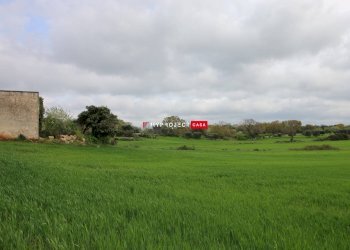 Rustico Strada Provinciale Ceglie, Ceglie Messapica - foto 4