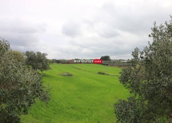 Rustico Strada Provinciale Ceglie, Ceglie Messapica - foto 8