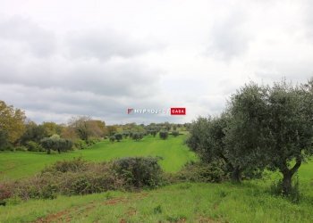 Rustico Strada Provinciale Ceglie, Ceglie Messapica - foto 12