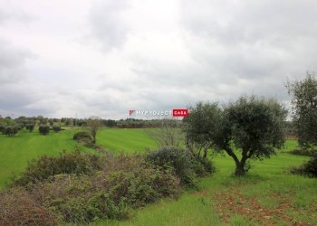 Rustico Strada Provinciale Ceglie, Ceglie Messapica - foto 14