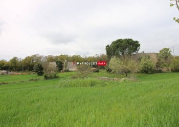 Rustico Strada Provinciale Ceglie, Ceglie Messapica - foto 15