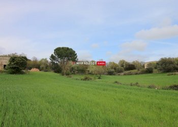 Rustico Strada Provinciale Ceglie, Ceglie Messapica - foto 16